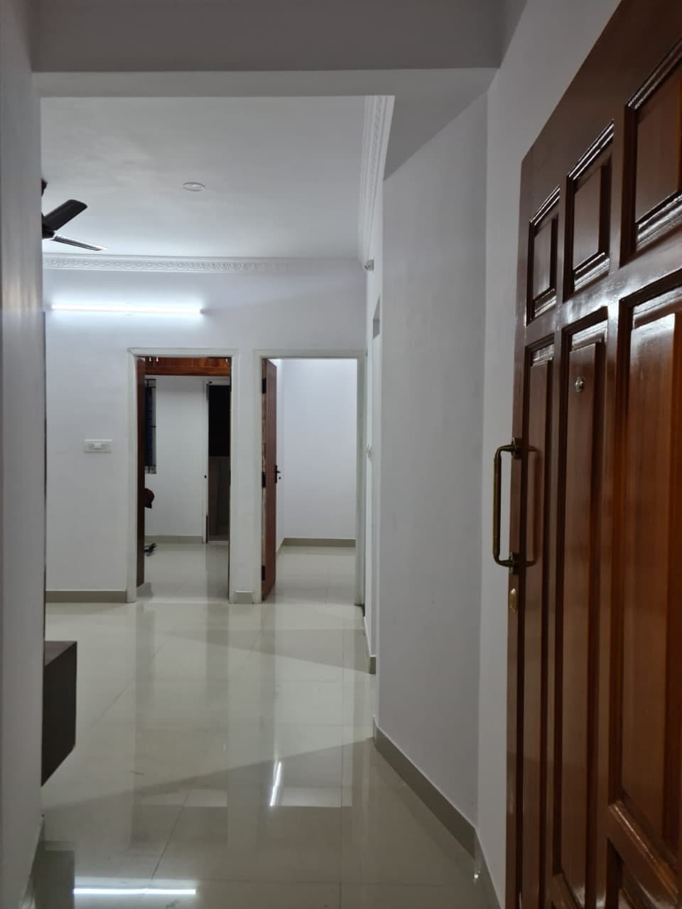 Apartment entrance and hallway view